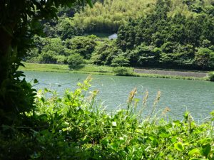 空は晴れて夏のような光線が降り注ぐ