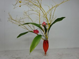 透明な五月の花と風です