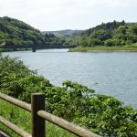 1打の妙味を喜ぶ松じ-さん