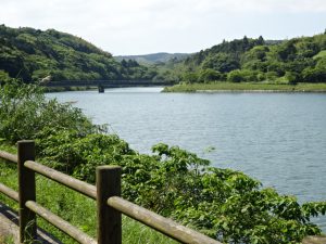 1打の妙味を喜ぶ松じ-さん
