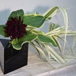 雨季を待つ花達は元気そのもの