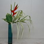 梅雨はじまり 明るく暮らそう