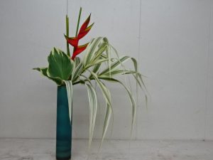 梅雨はじまり　明るく暮らそう