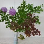 雨は降るのかなぁ、、、