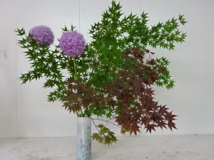 雨は降るのかなぁ、、、