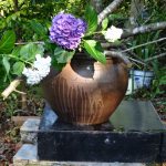 晴天 農家は雨待ち、、、