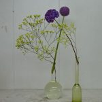 雨の降らない反面で琵琶は豊作