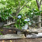 自然の中での暮らし