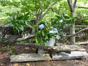 自然の中での暮らし