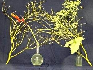 天候異変のためか食物への影響が感じられる