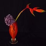 雨の合間に差し込む日差し 歓迎