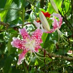 母が遺した言葉