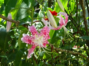 母が遺した言葉