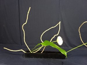 【いけばな】枯れ物材料の花