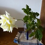 生け花とは言えない花生け