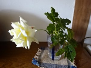 生け花とは言えない花生け