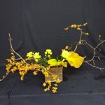 冬の生け花のテ-マはクリスマスと正月ですが、、、