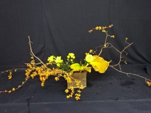 冬の生け花のテ－マはクリスマスと正月ですが、、、