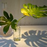 【いけばな】夏に生けた作品秋には懐かしい