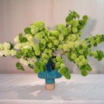 桜が終わり八重桜を待つ間、今は大手まりの生け花