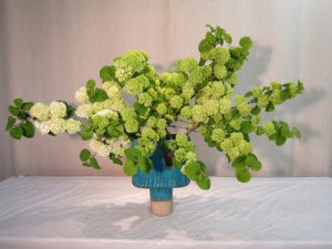 桜が終わり八重桜を待つ間、今は大手まりの生け花