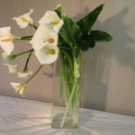 カラ-の瑞々しさをいけたい