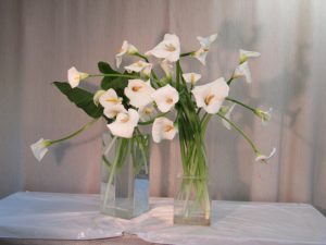 再度　カラ－を生けてみる