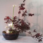 花の咲く順番は神様の定めのとおり