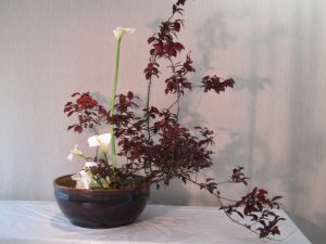 花の咲く順番は神様の定めのとおり