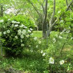 いい季節、、、だが耐えよう