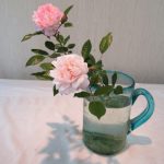 野バラ、、、可憐な花を毎年見せてくれる