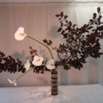 穏やかな梅雨であってほしい