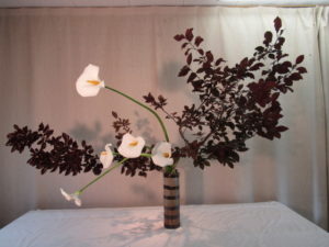 穏やかな梅雨であってほしい